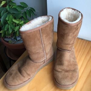Chestnut Ugg Boots